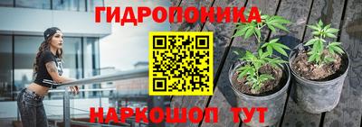 сатива Берёзовский