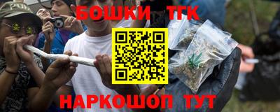 хмурый Бийск