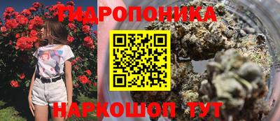 хмурый Бийск